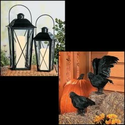 Discount π Black Lanterns & Crows Decorating Kit π